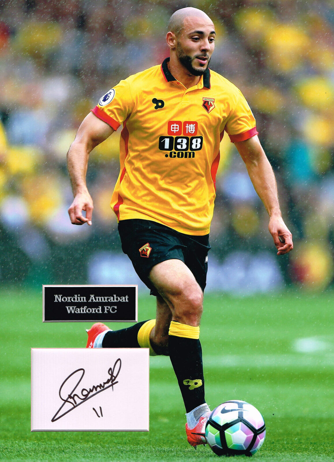 Nordin AMRABAT SIGNED Autograph 16x12 Photo Poster painting Mount AFTAL COA Watford FC