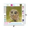 Cute Owl  | Full Round Diamond Painting Kits