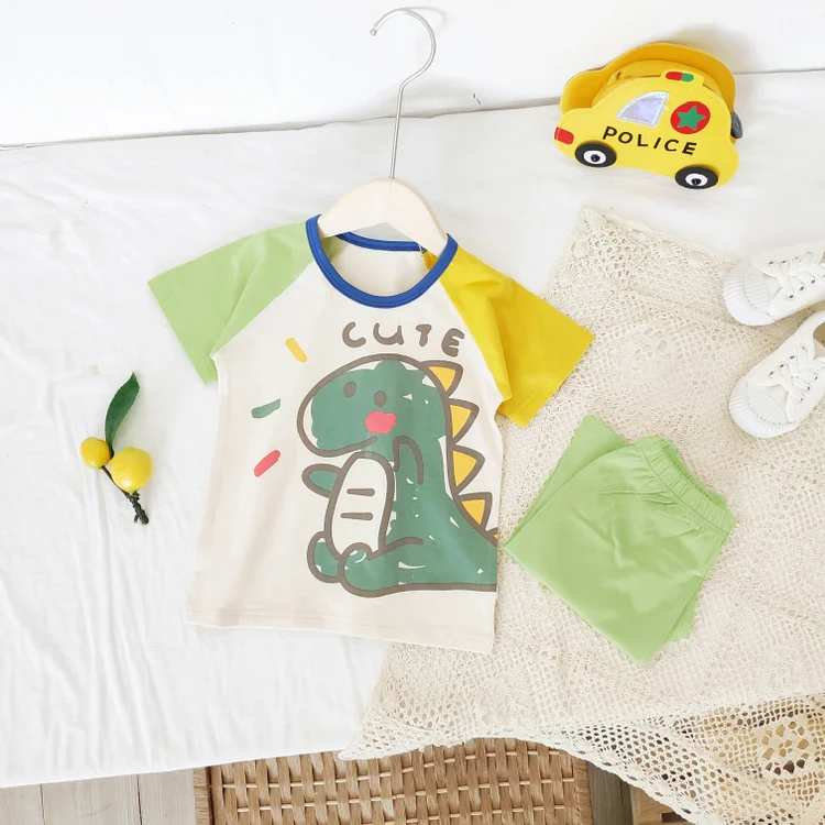 Baby Dinosaur Color Block Tee & Shorts Set