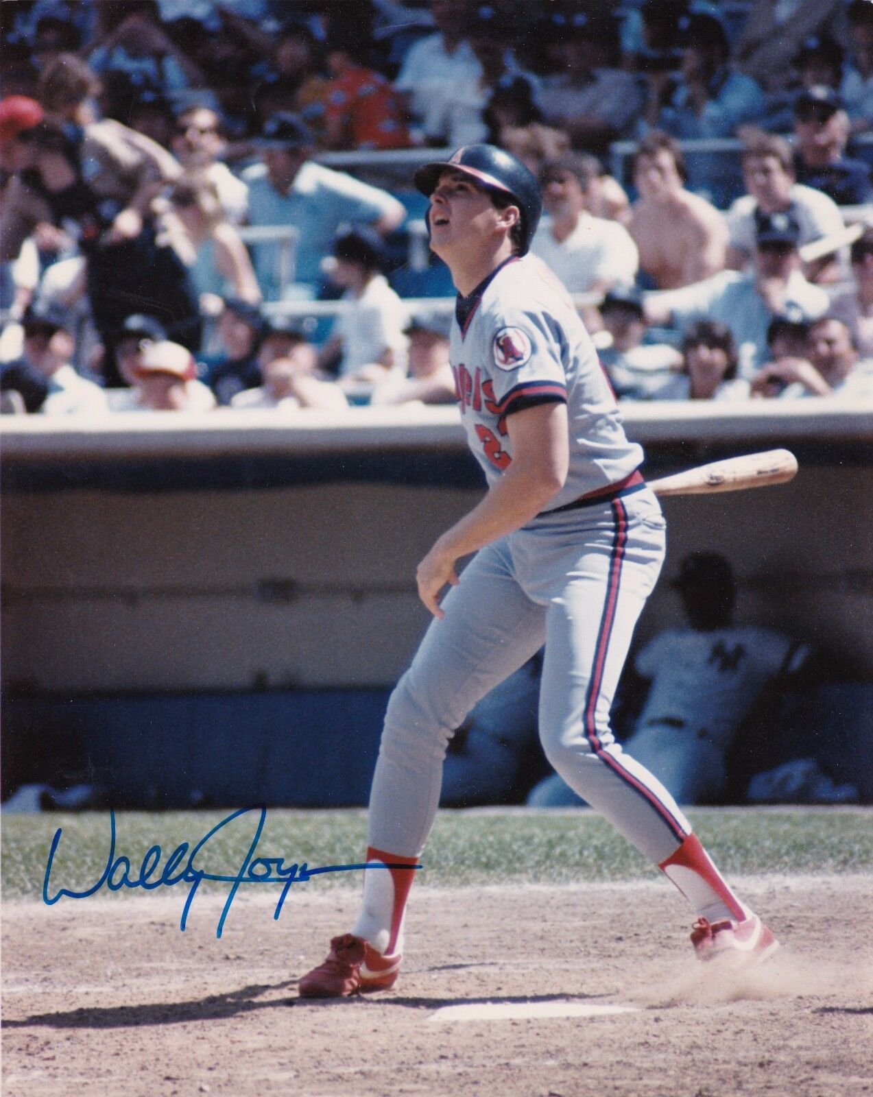 Wally Joyner California Angels Autographed 8 x 10