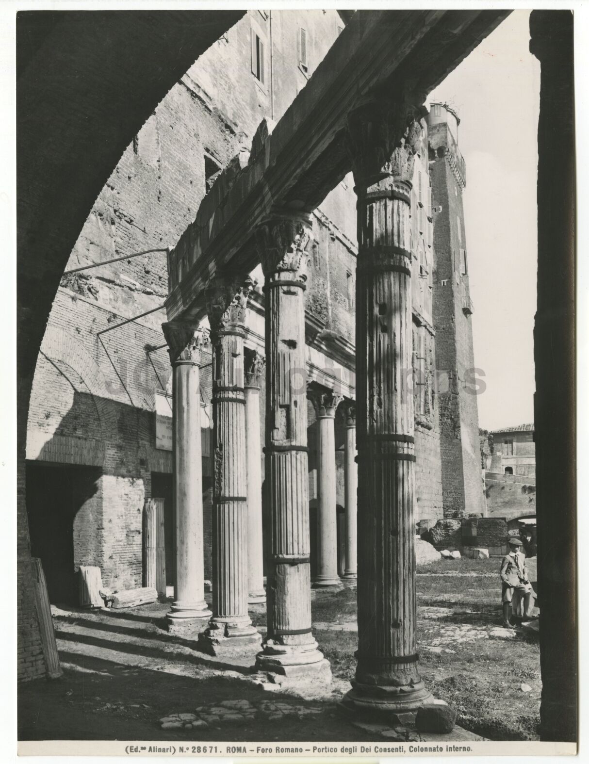 Italian Architecture, The Roman Forum - Vintage 8x10 Photo Poster paintinggraph