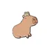 Amigos Capibara y Pipo