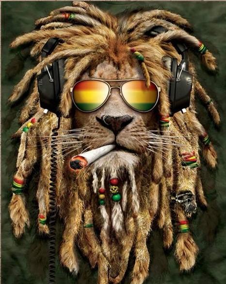 

Jamaican Lion – Paint By Numbers - 40*50CM, 501 Original