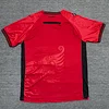 Joyfball 2025 Albania National Team Home Football Shirt 1:1 Thai Quality