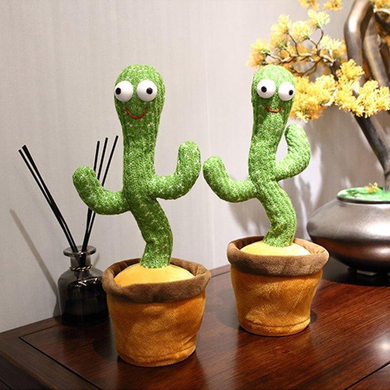 dancing cactus