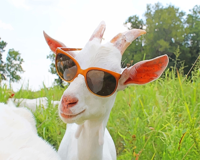 

Goat Sunglasses – Paint By Numbers - 40*50CM, 501 Original