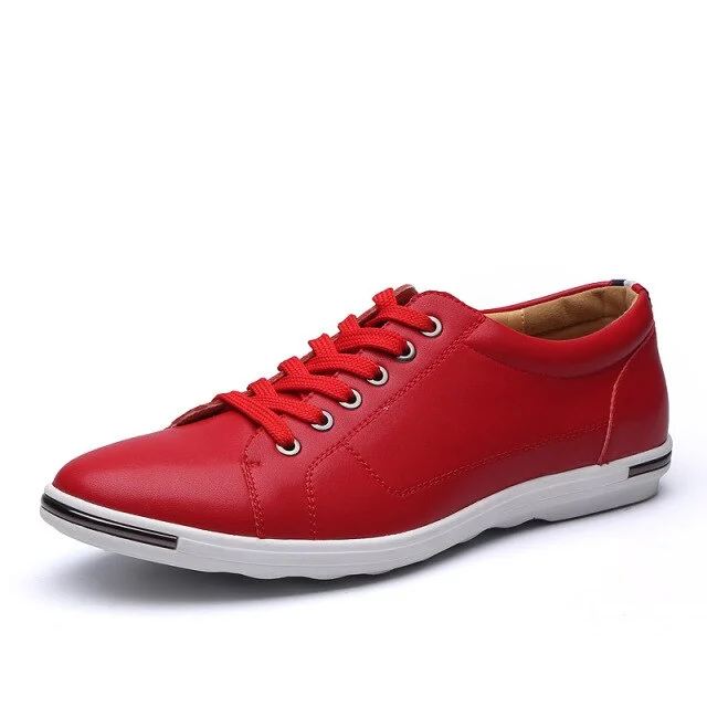 Classic Leather Shoes