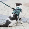 Gilet con imbracatura e guinzaglio per gatto, adatto per passeggiate all'aperto