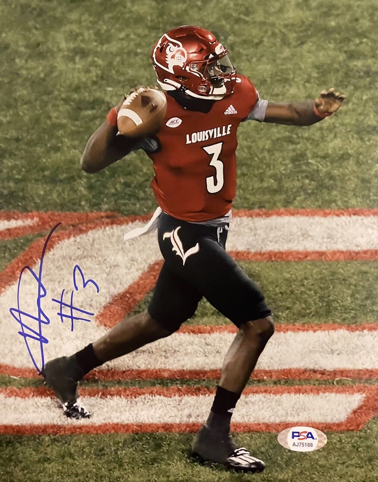 Malik Cunningham Signed Autographed Louisville Cardinals 8x10 Photo Poster painting PSA/DNA