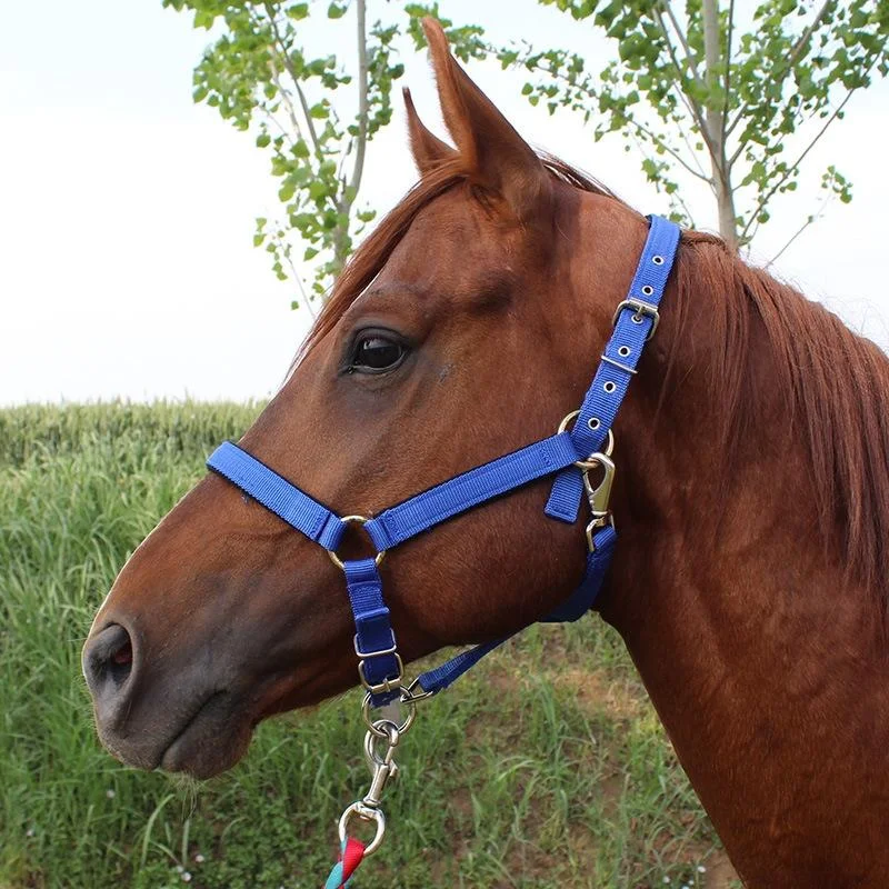 Nylon Full-Line Board Horse Rein Headstall Equestrian Supplies, Specification: S 