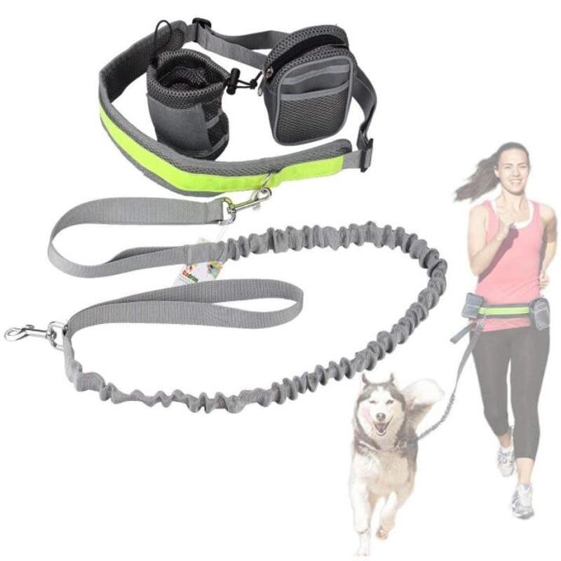 Pet Dog Running Belt Adjustable Traction Rope Combined Pockets Hands-free