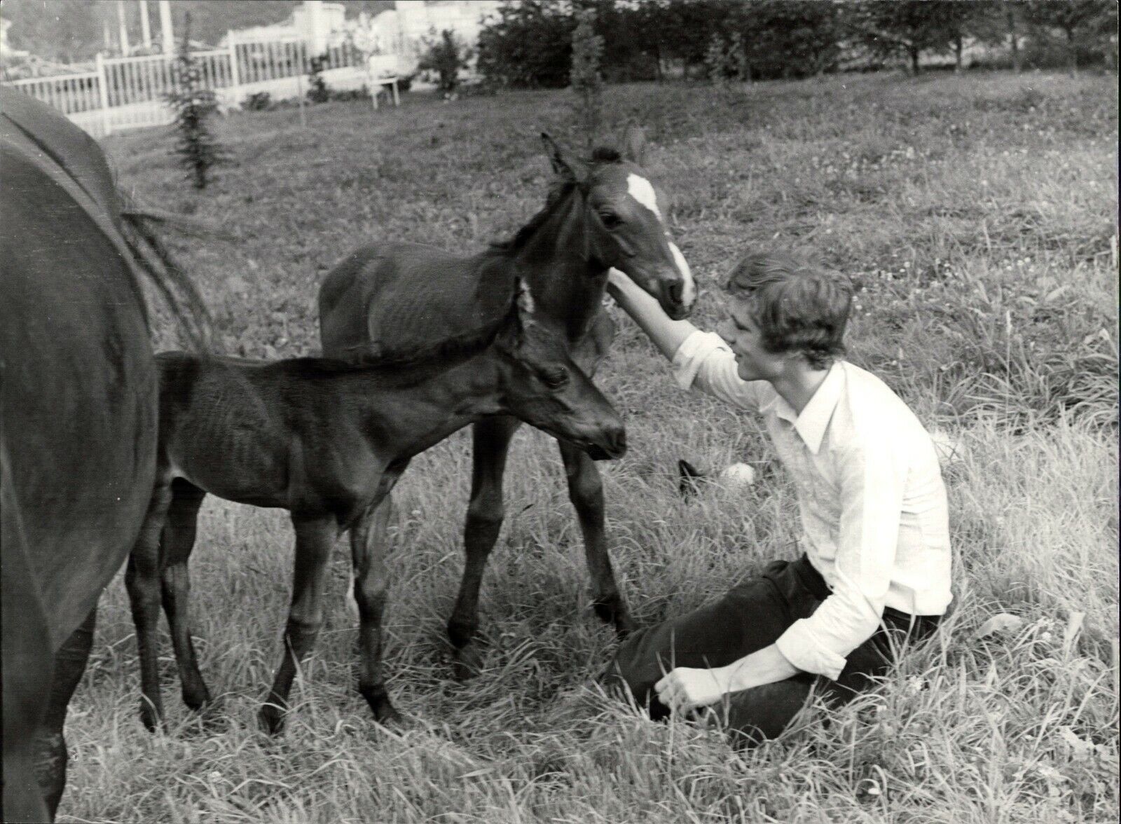 Heintje With Foal - Vintage Press Photo Poster painting Norbert Unfried (U-6620