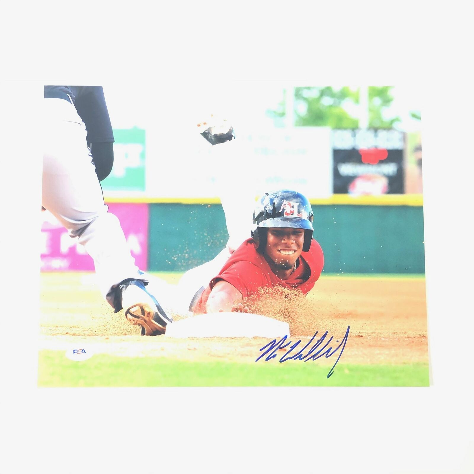 Nick Williams signed 11x14 Photo Poster painting PSA/DNA Hickory Crawdads autographed Phillies