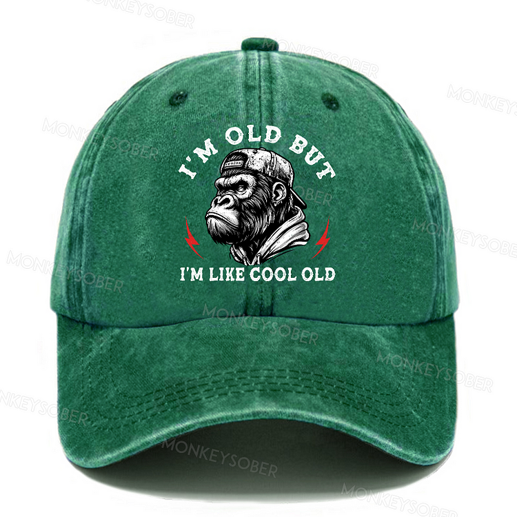 I'm Old But I'm Like Cool Old Funny Washed Baseball Caps