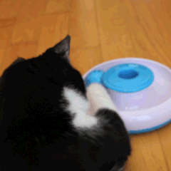 GIF 3in1