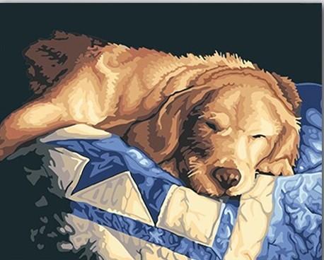 

Lazy Dog – Paint By Numbers - 40*50CM, 501 Original