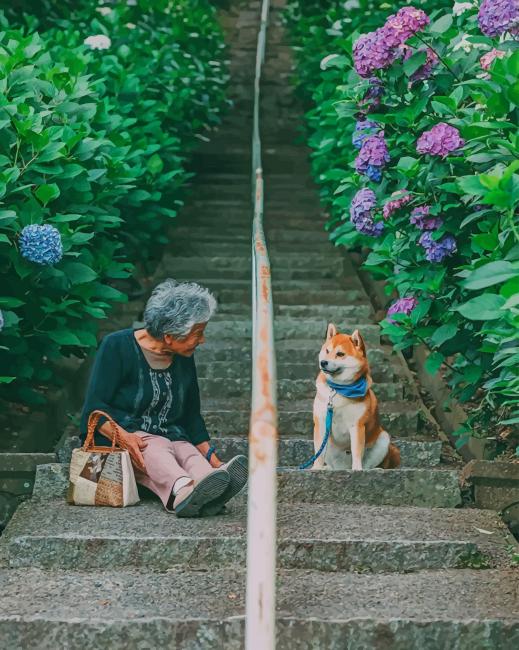 

Japanese Old Woman With Her Bestie – Paint By Numbers - 40*50CM, 501 Original