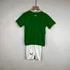 2023 Ireland Home Football Shirt Kids Size 1:1 Thai Quality