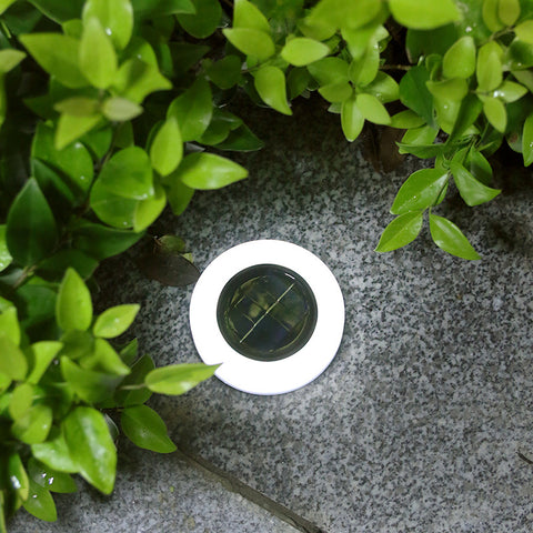 A round, white solar pathway light with a dark solar panel in the center sits on a textured gray surface surrounded by green leafy plants.