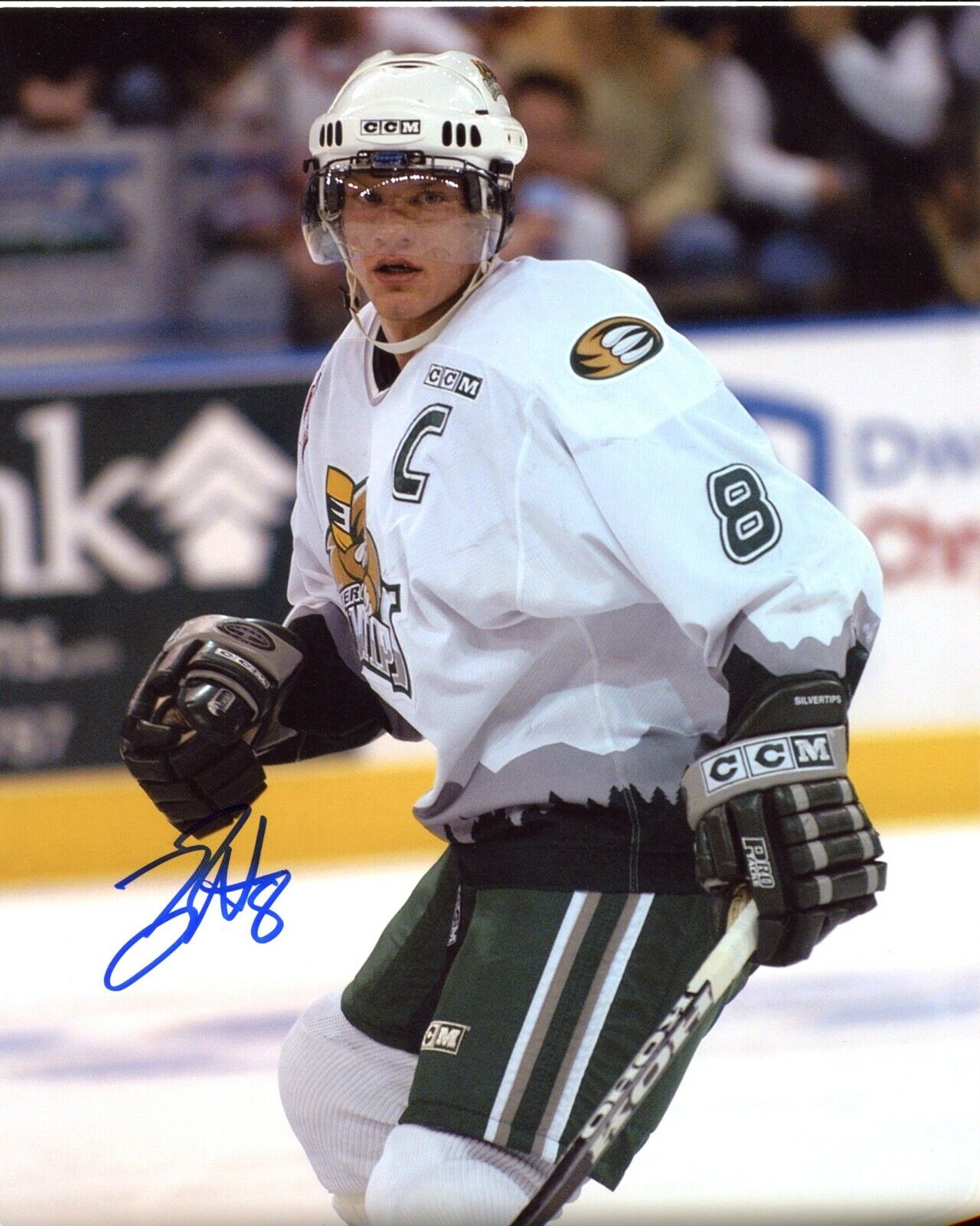 Bryan Nathe Everett Silvertips Autographed 8x10 Photo Poster painting CFS