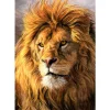 Lion | Full Round Diamond Painting Kits