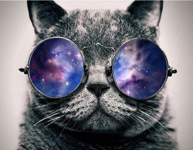 

Cat With Galaxy Glasses – Paint By Numbers - 40*50CM, 501 Original