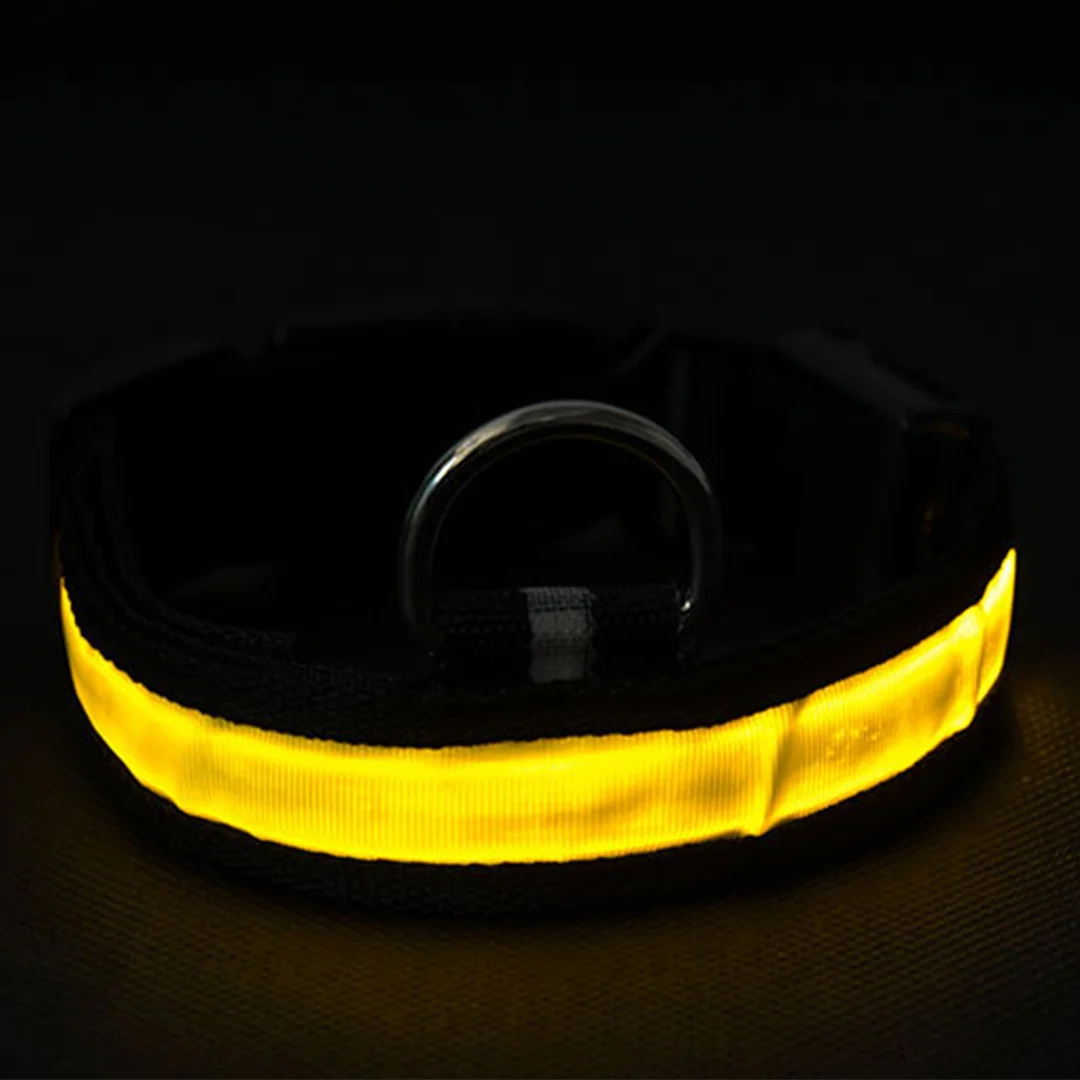 Glow in the Dark Dog Collar - Night Safety Chargeable LED  