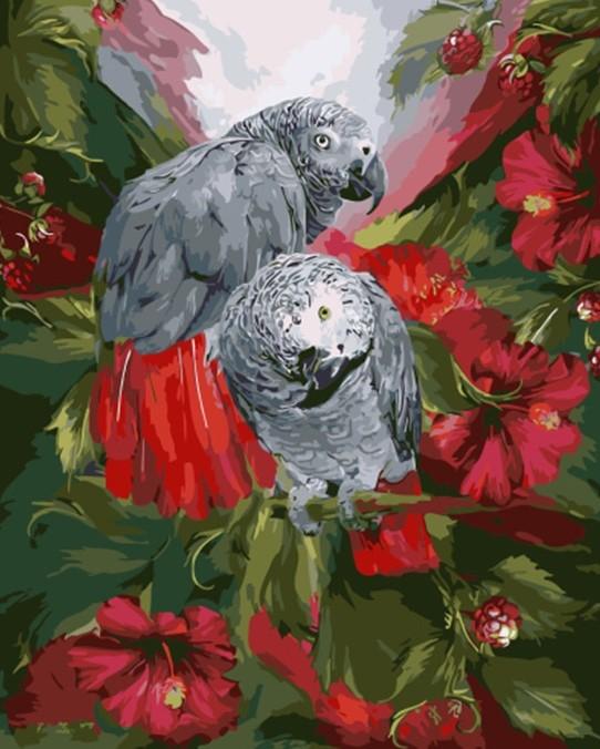 

Gray Parrot – Paint By Numbers - 40*50CM, 501 Original