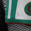 Joyfball 2026 Player Version Algeria National Team Home Football Shorts