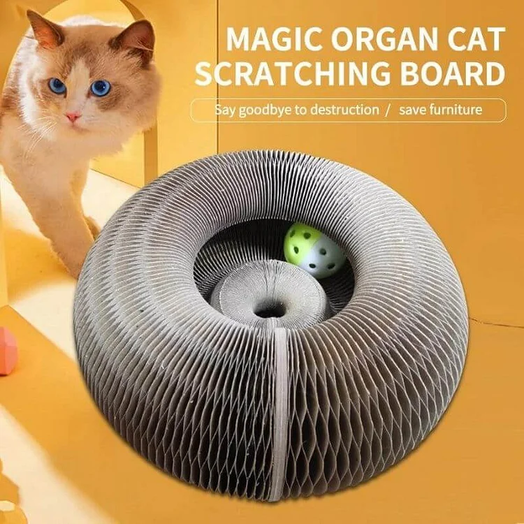 Magic Organ Cat Scratching Board &mdash; Comes with a toy bell ball slivor