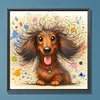 (US Only)Paint By Numbers Kit On Canvas DIY Oil Art Dachshund Picture Home Decor40x40cm