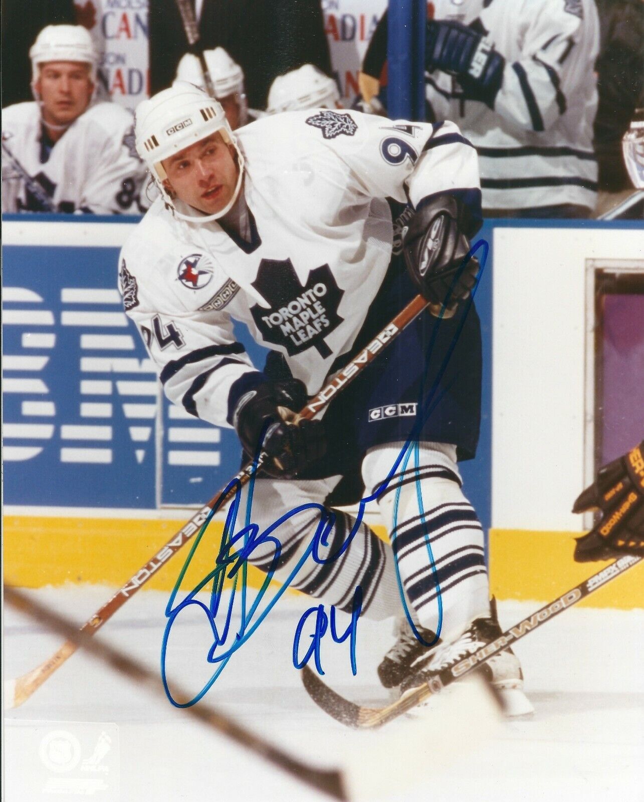 Autographed SERGEI BEREZIN Toronto Maple Leafs 8x10 Photo Poster painting- w/COA