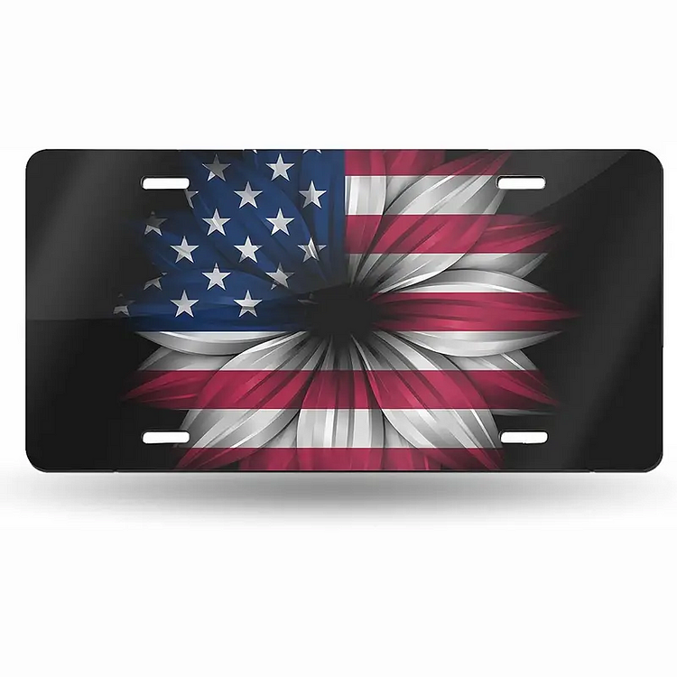 Les États-Unis - Encens de plaque de voiture vintage - 6x12inch