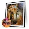 >SALE<5D DIY Full Drill Diamond Painting Charming Horse Cross Stitch Embroidery