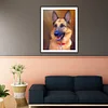 Peinture ronde de diamant de perceuse de chien-30*40cm