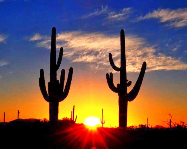 

Cactus Sunrise – Paint By Numbers - 40*50CM, 501 Original