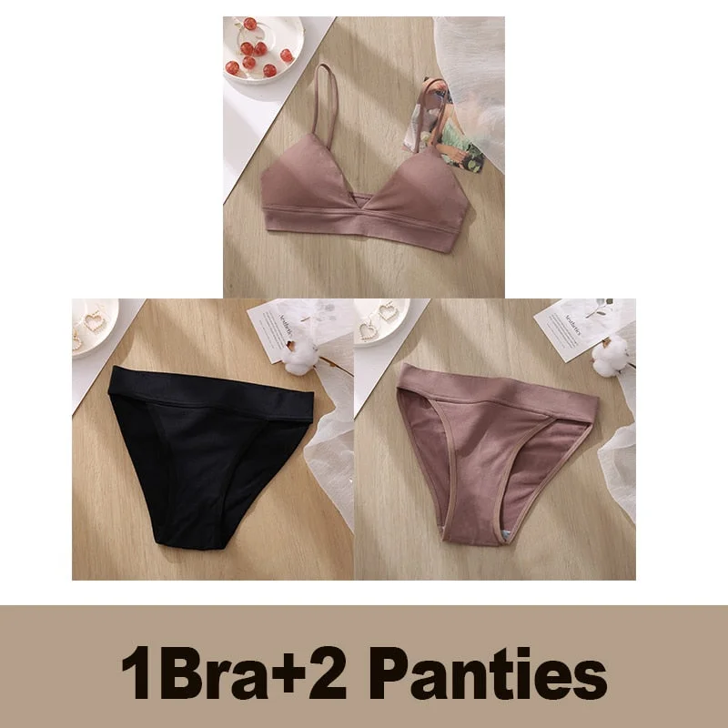 Bra Set Women's Underwear Push Up Bras Sexy Bralette Seamless Brassiere Gather Padded Female Wirefree Intimates Lingerie 2/3PCS