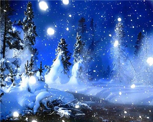 

Snowy Christmas Night – Paint By Numbers - 40*50CM, 501 Original