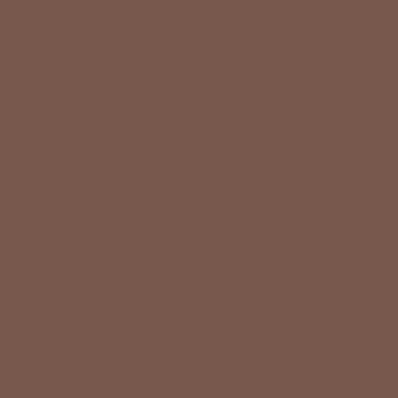 Carpenter Jeans In Brown High Waist Loose Straight Leg Jeans Women 2022 Fashion Y2k Casual Streetwear Female Pants Baggy Trouser