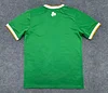 2026 Ireland Home Football Shirt 1:1 Thai Quality