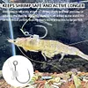 10pcs Luminous Live Shrimp Fixing Hook Metal Barbed Fishhook Live Shrimp Hooks