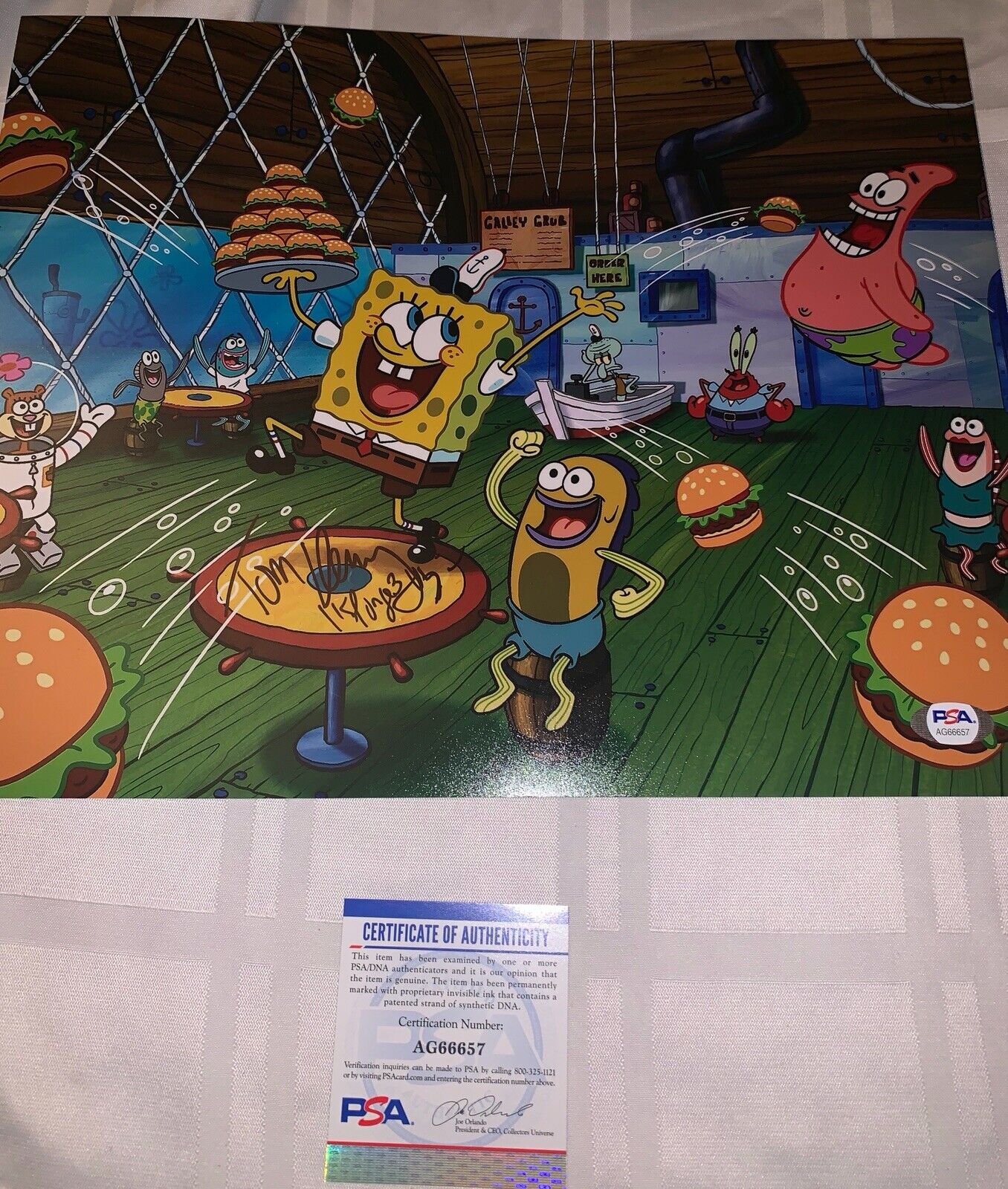 tom kenny signed 8x10 Photo Poster painting Pic Sponge Bob Square Pants Psa/dna Coa