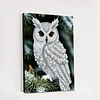 (30x40cm)DIY Pearl Painting Framed Owl  Handmade Pearl Material Art Kit Living Room Decor