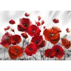 (Big Size)Poppy - 11CT Stamped Cross Stitch - 60*40cm - Flower
