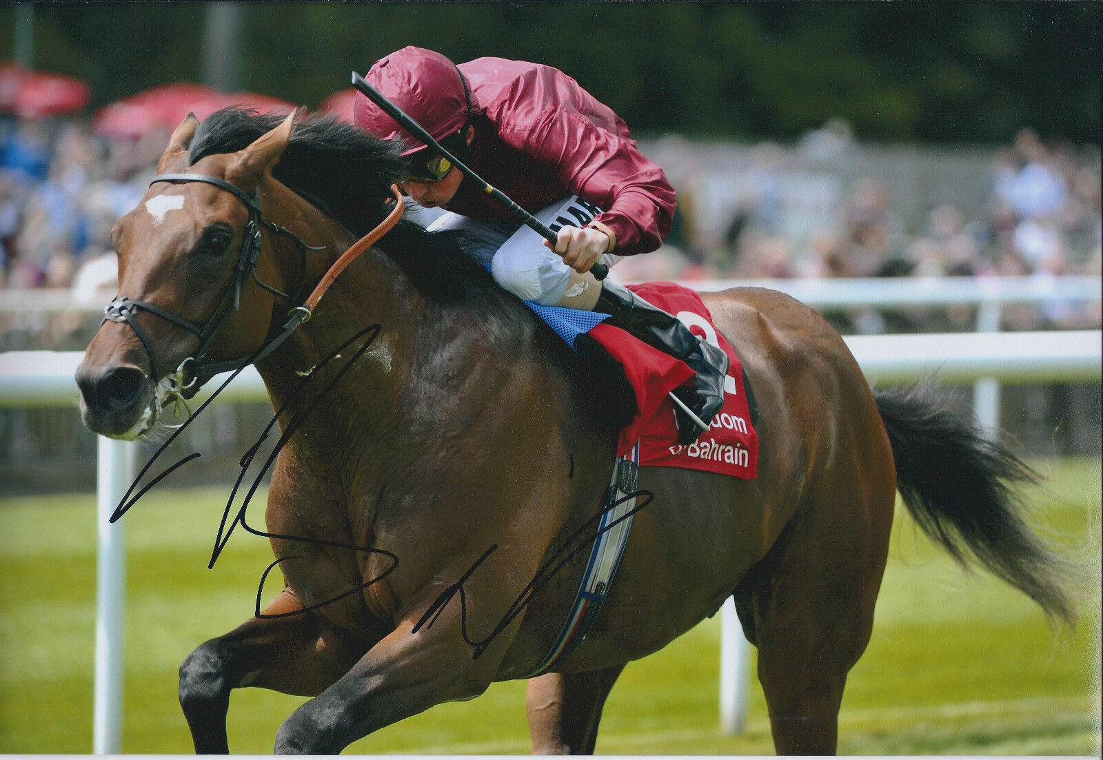 William Will BUICK SIGNED Autograph 12x8 Photo Poster painting AFTAL COA Newmarket Races Jockey