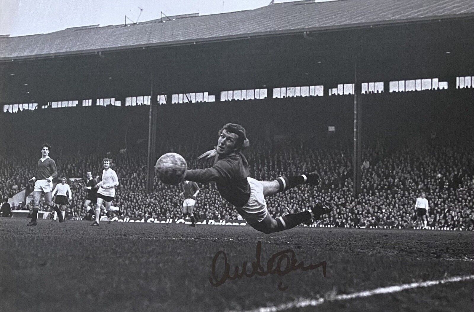 Alex Stepney Genuine Hand Signed Manchester United 12x8 Photo Poster painting 7