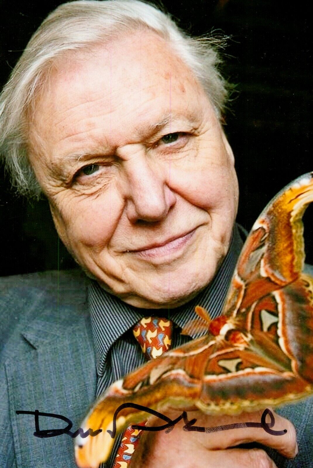 Sir David Attenborough Signed 6x4 Photo Poster painting Blue Planet II Wildlife Autograph + COA