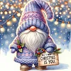 Winter Gnome - 11CT Stamped Cross Stitch - 40*40cm - Xmas