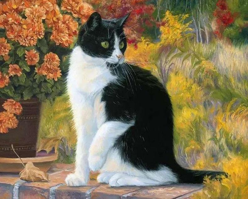 

Black and White Cat – Paint By Numbers - 40*50CM, 501 Original