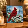 (20x20cm)Cardinal Pearl Painting Art Kits With Inner Frame Pearl Gem Paintings Picture Arts Craft for Adults Beginners Home Wall Decor